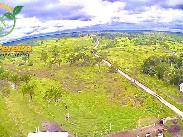 #2052 - Fazenda para Venda em Piçarra - PA - 1