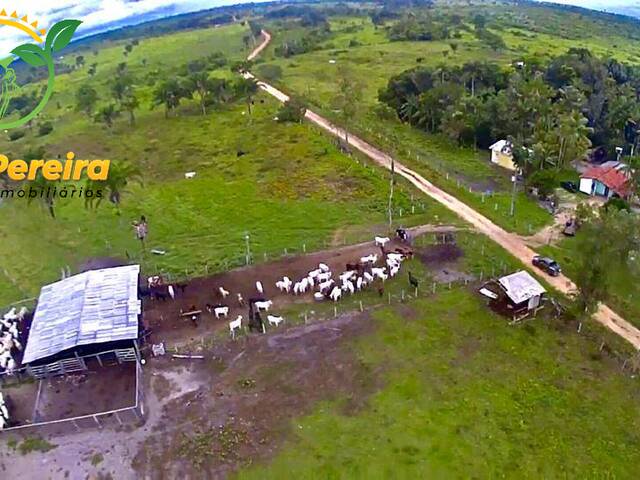 Fazenda para Venda em Piçarra - 5