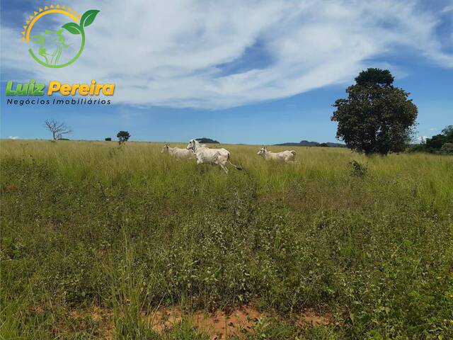 #2060 - Fazenda para Venda em Darcinópolis - TO - 2