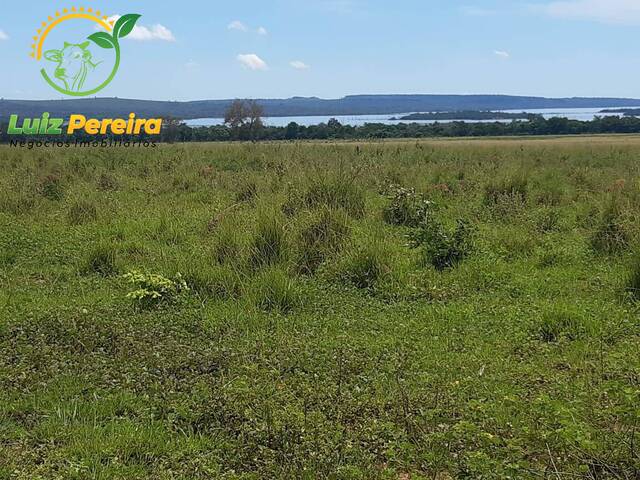 Fazenda para Venda em Darcinópolis - 5