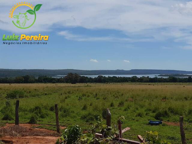 Fazenda para Venda em Darcinópolis - 4