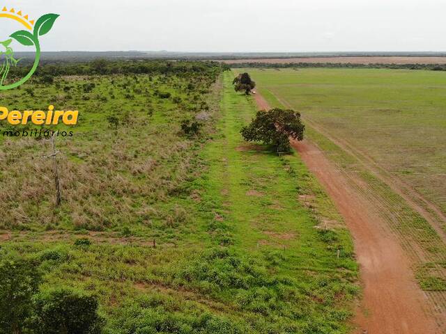 Fazenda para Venda em Natividade - 4