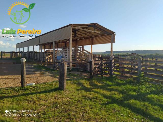 Fazenda para Venda em Natividade - 5