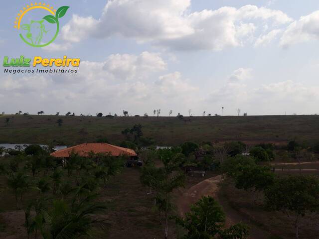 Fazenda para Venda em Goianésia do Pará - 5