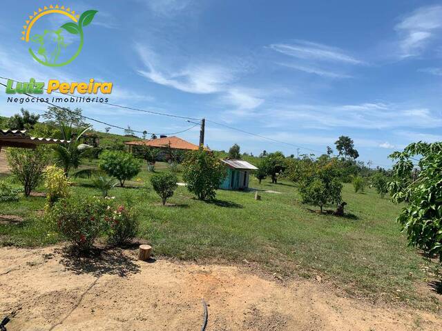 #2093 - Fazenda para Venda em Goianésia do Pará - PA - 3