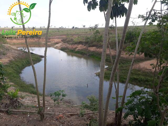 Fazenda para Venda em Goianésia do Pará - 4