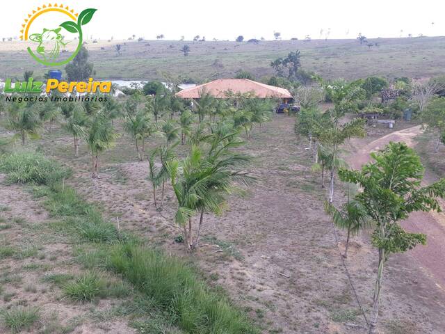 #2093 - Fazenda para Venda em Goianésia do Pará - PA - 1