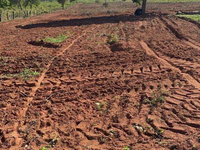 Chácara para Venda em Camapuã - 4