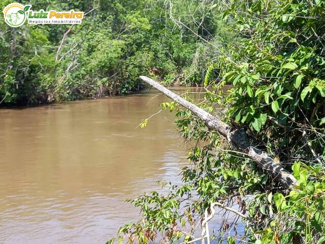 #2130 - Fazenda para Venda em Figueirão - MS