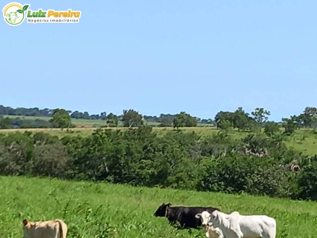 #2130 - Fazenda para Venda em Figueirão - MS - 2