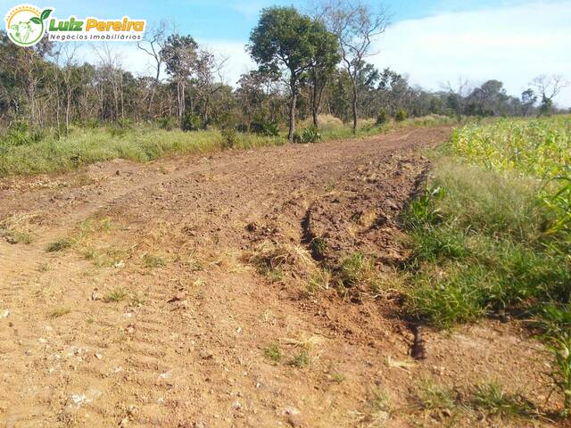 Fazenda para Venda em Carolina - 4