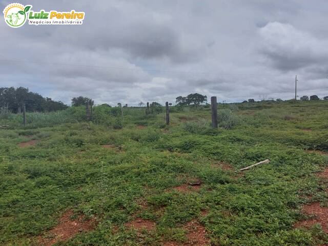 Fazenda para Venda em Fátima - 4