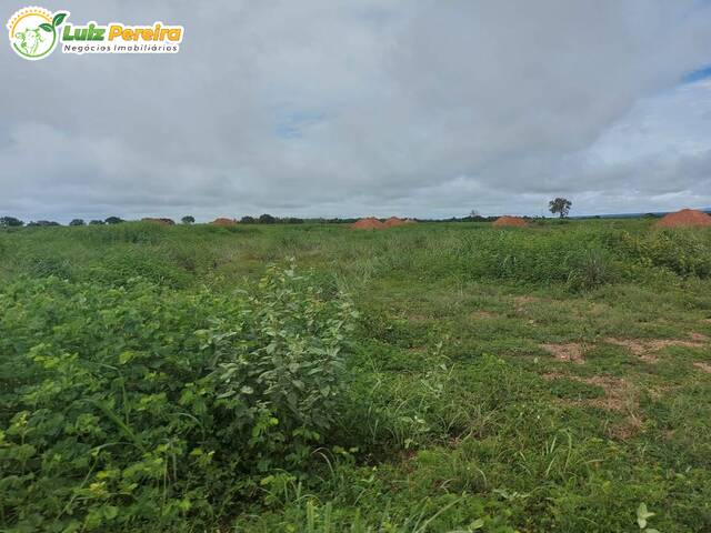 #2141 - Fazenda para Venda em Fátima - TO