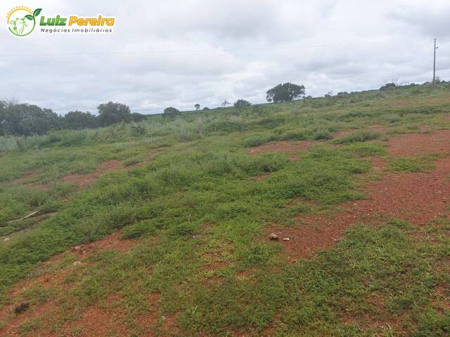 Fazenda para Venda em Fátima - 5