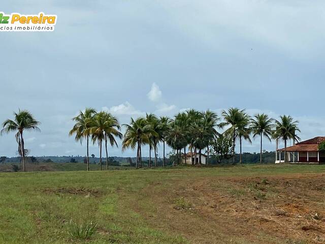 #2179 - Fazenda para Venda em Pacajá - PA - 3