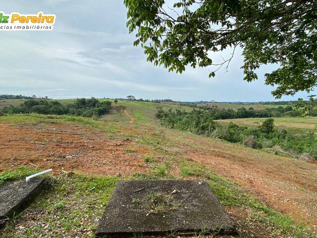 #2179 - Fazenda para Venda em Pacajá - PA - 2