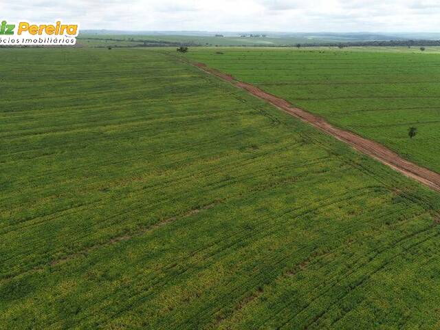 #2180 - Fazenda para Venda em Alto Parnaíba - MA - 2