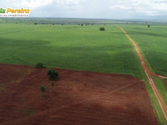 #2180 - Fazenda para Venda em Alto Parnaíba - MA - 3