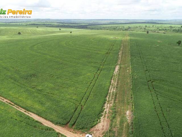 #2180 - Fazenda para Venda em Alto Parnaíba - MA