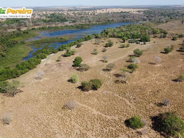 #2184 - Fazenda para Venda em Peixe - TO - 1