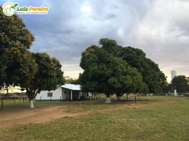 #2183 - Fazenda para Venda em Corumbá - MS - 1