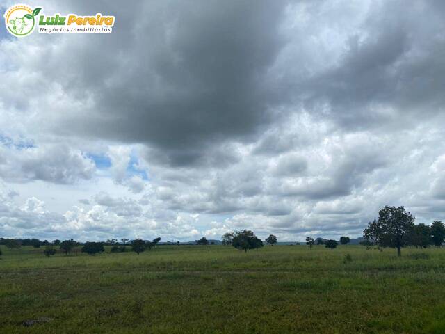 #2187 - Fazenda para Venda em Recursolândia - TO - 2