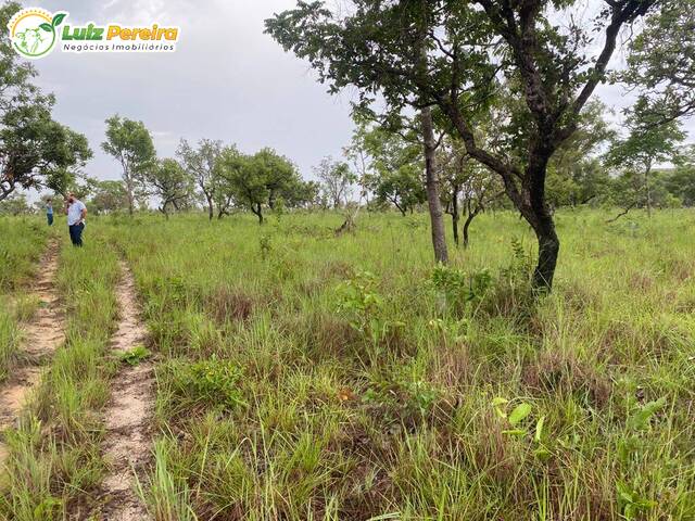 #2194 - Fazenda para Venda em Lizarda - TO - 2