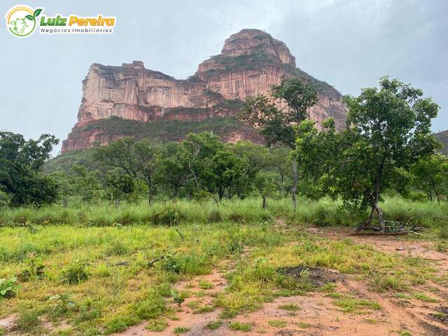 Venda em S.Central - Lizarda