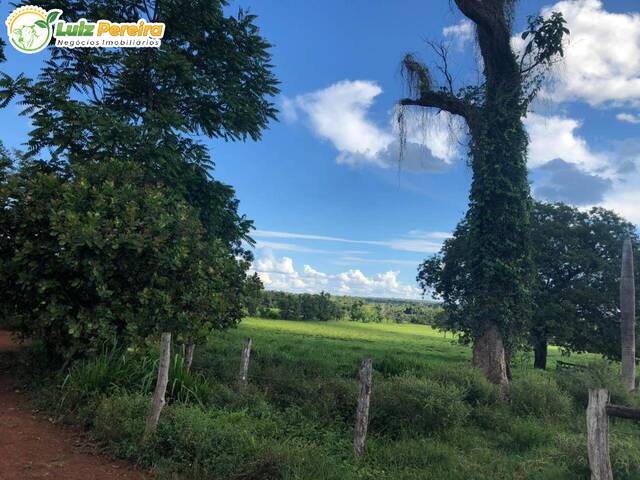 #2198 - Fazenda para Venda em Feira Nova do Maranhão - MA - 2