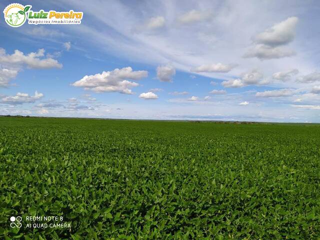 #2201 - Fazenda para Venda em Balsas - MA - 1