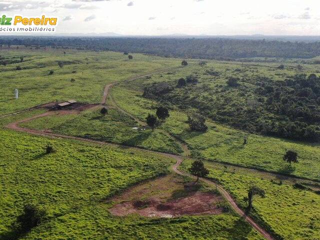 #2204 - Fazenda para Venda em Arapoema - TO - 1