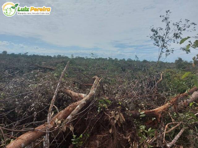 #2206 - Fazenda para Venda em Divinópolis do Tocantins - TO - 2