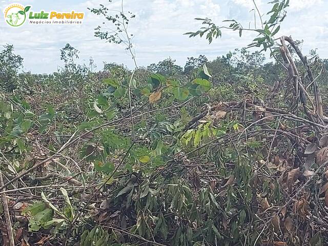 #2206 - Fazenda para Venda em Divinópolis do Tocantins - TO