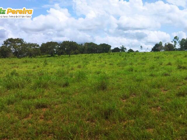 #2210 - Fazenda para Venda em Dois Irmãos do Tocantins - TO - 1