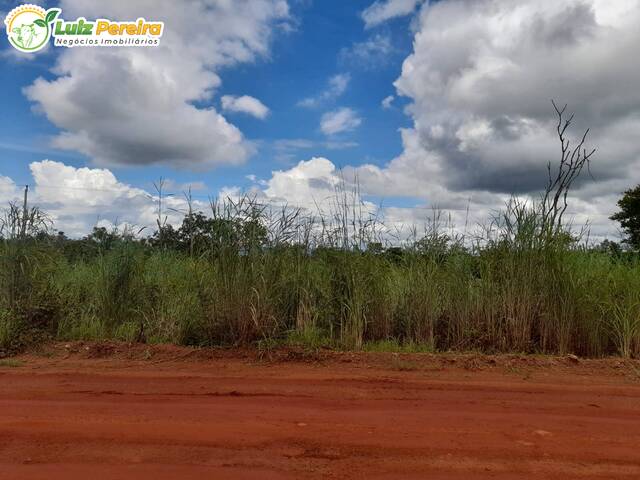 Fazenda para Venda em Carolina - 4