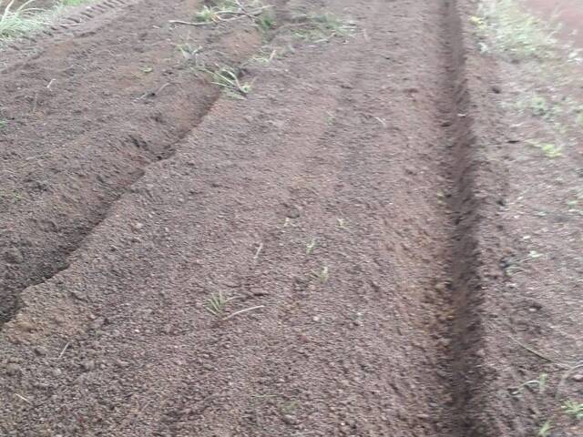 Fazenda para Venda em Carolina - 5
