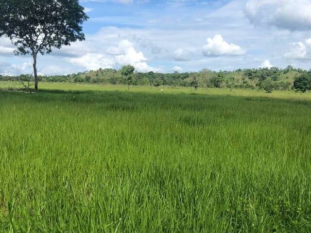 #2211 - Fazenda para Venda em Carolina - MA - 1