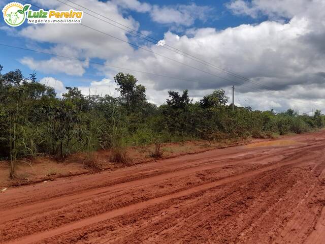 #2211 - Fazenda para Venda em Carolina - MA - 2