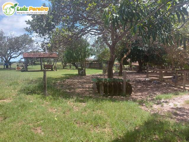 #2212 - Fazenda para Venda em Goianorte - TO - 1