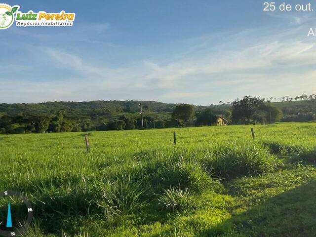 #2205 - Fazenda para Venda em Divinópolis do Tocantins - TO - 1