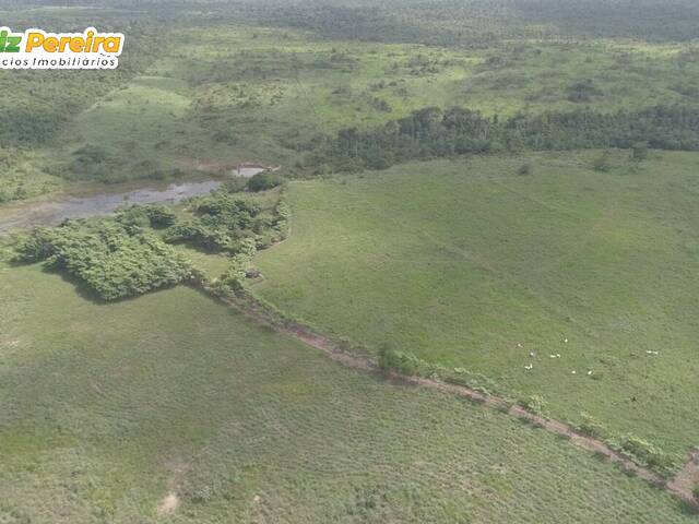 Venda em Stª Maria - Tailândia