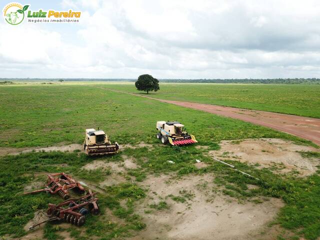 #2217 - Fazenda para Venda em Goianésia do Pará - PA - 1