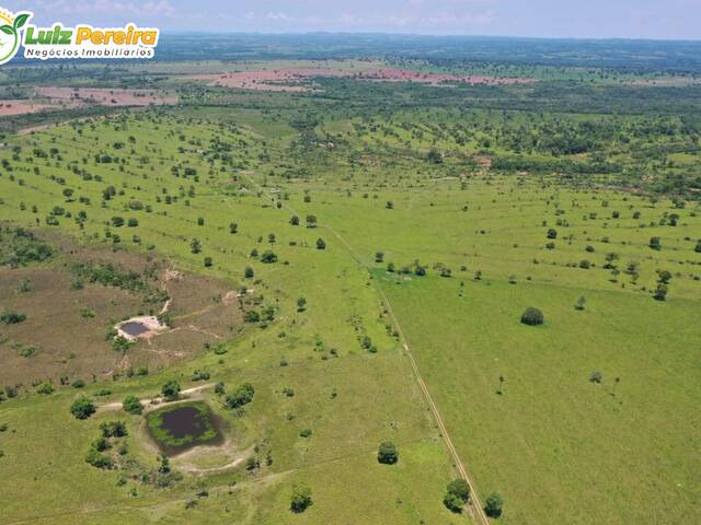 Venda em Jd Ouro Verde - Nioaque