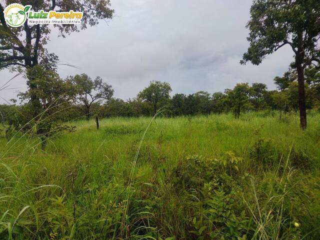 #2221 - Fazenda para Venda em Riachão - MA - 1