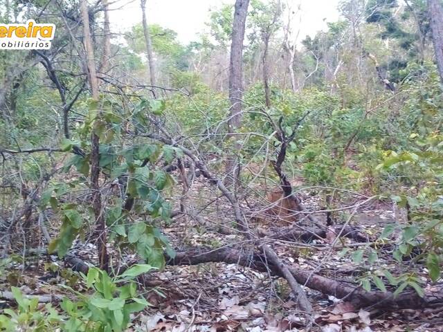 #2223 - Fazenda para Venda em São Félix de Balsas - MA - 1