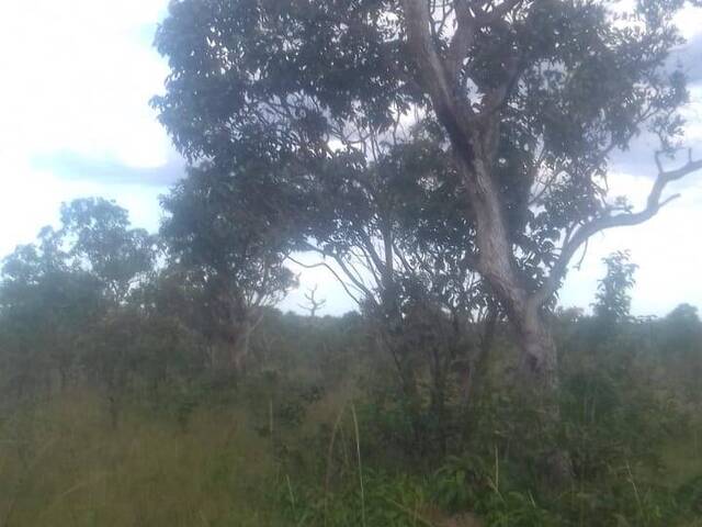 #2224 - Fazenda para Venda em Rio Sono - TO