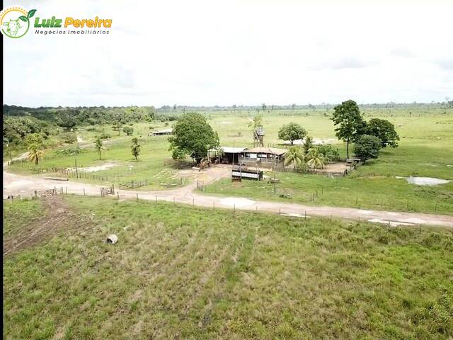 #2225 - Fazenda para Venda em Oeiras do Pará - PA - 2