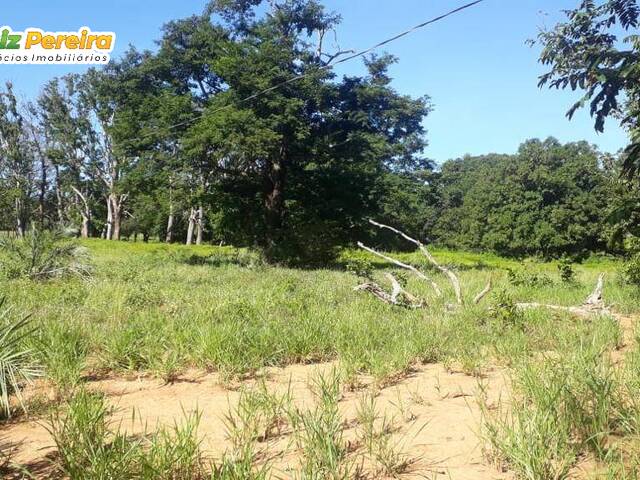 #2227 - Fazenda para Venda em Pedro Afonso - TO - 3