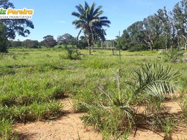 #2227 - Fazenda para Venda em Pedro Afonso - TO - 1