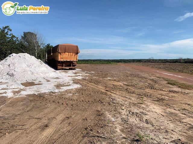 #2229 - Fazenda para Venda em Dois Irmãos do Tocantins - TO - 1